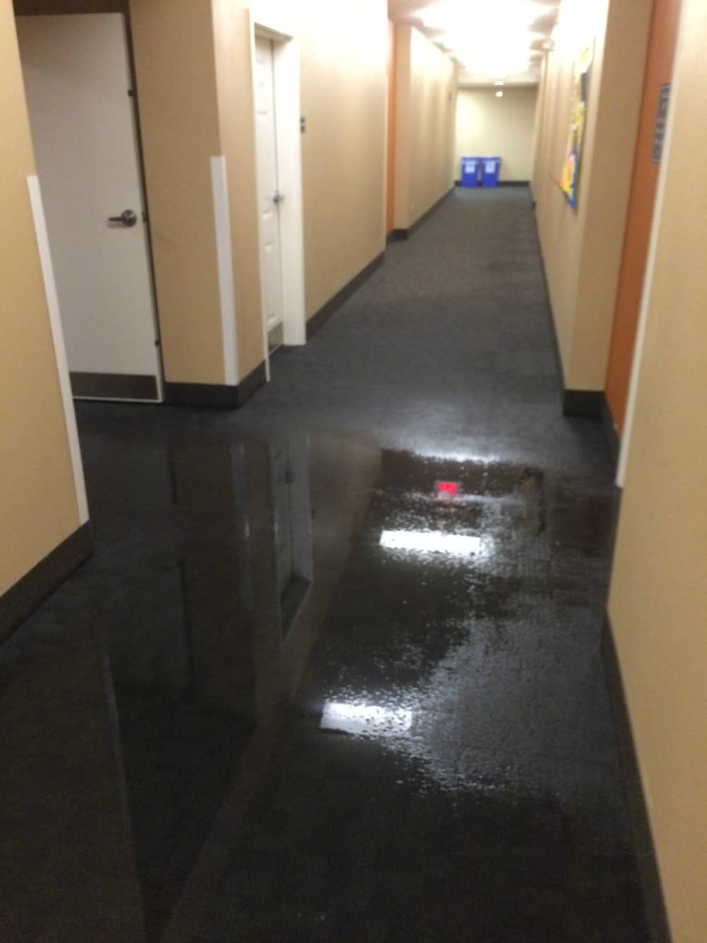 Oak Place Apartments (UMKC) Zipco Restoration and Contracting