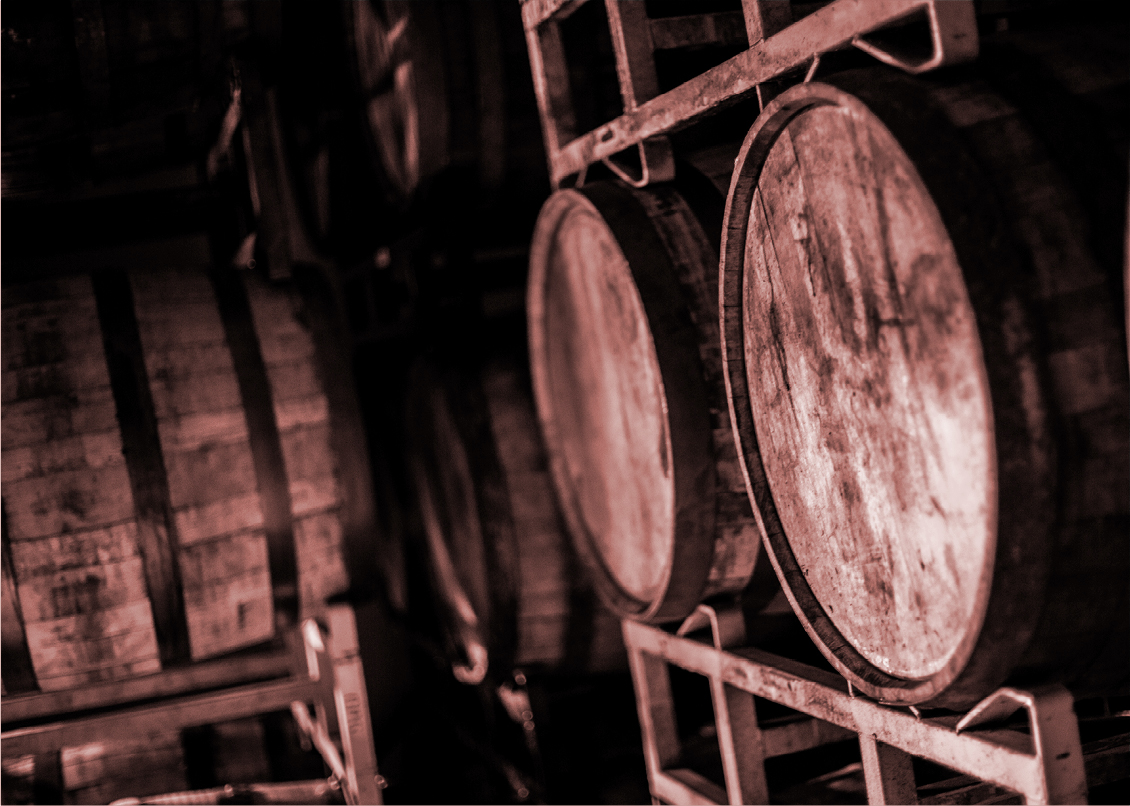 Brave New Barrel Fest Early Bird Tickets Zipline Brewing Co.