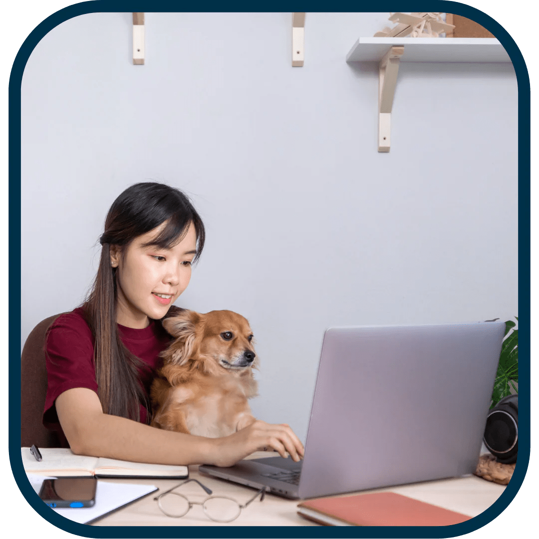 Virtual Vet Visit ZIPPET