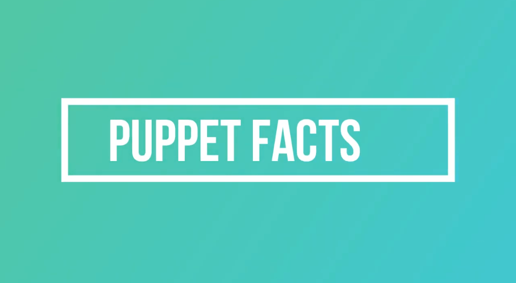 Puppet facts