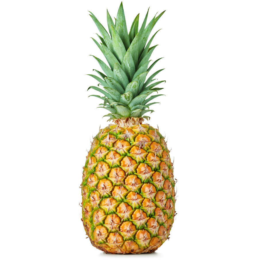 Zippy Quiz Fun Quizzes Fun Quizzes