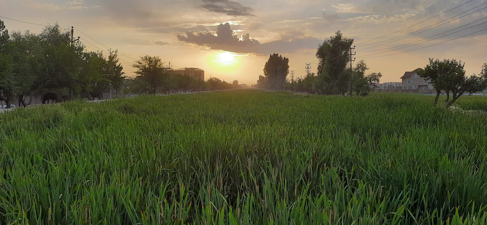 Srinagar Ring Road Project Land prices go up in Budgam areas Ziraat