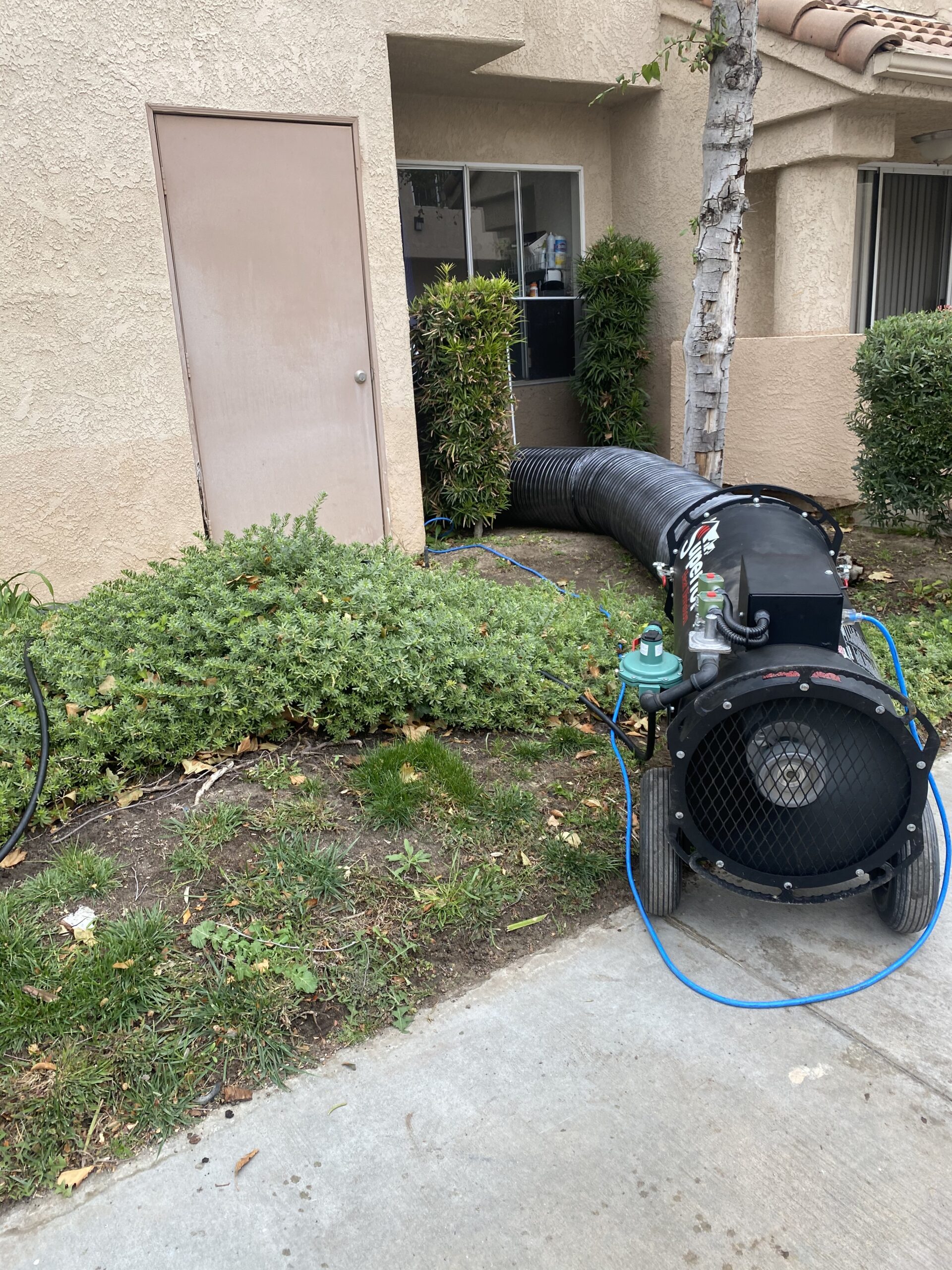 Bed Bug Heat Treatments Zircon Pest Solutions