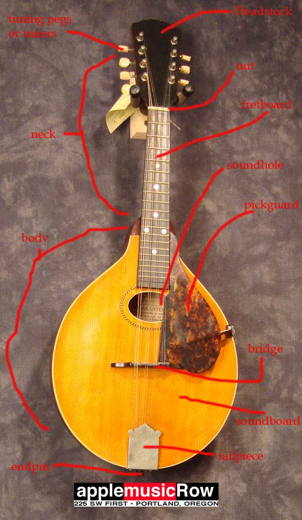 Learning The Mandolin History The Bluegrass Era (pt. 1)