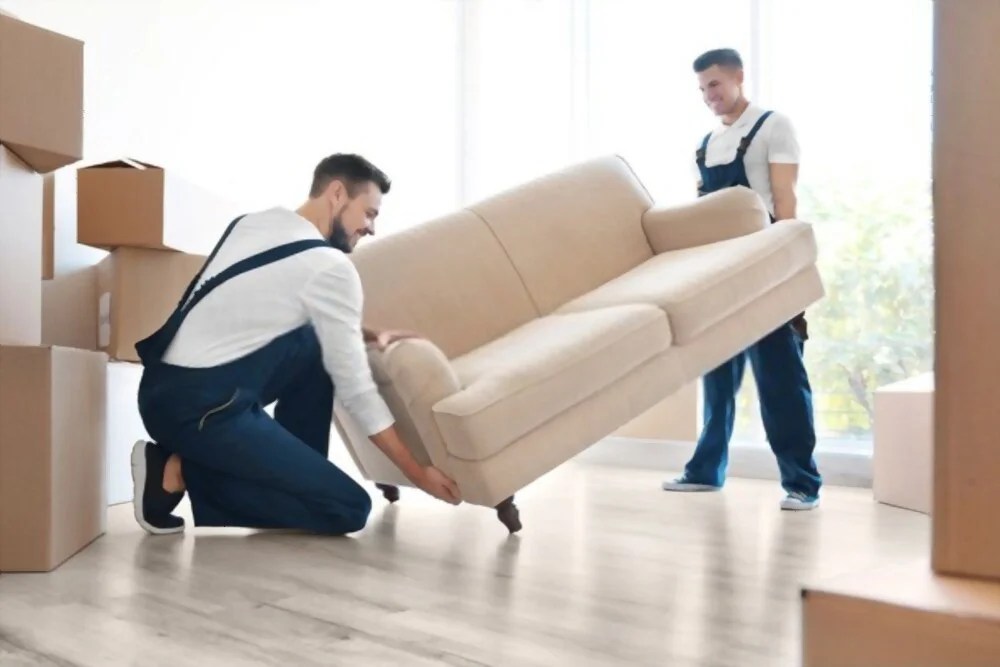 TOP 5 Best Movers and Packers in Dubai Zitoc