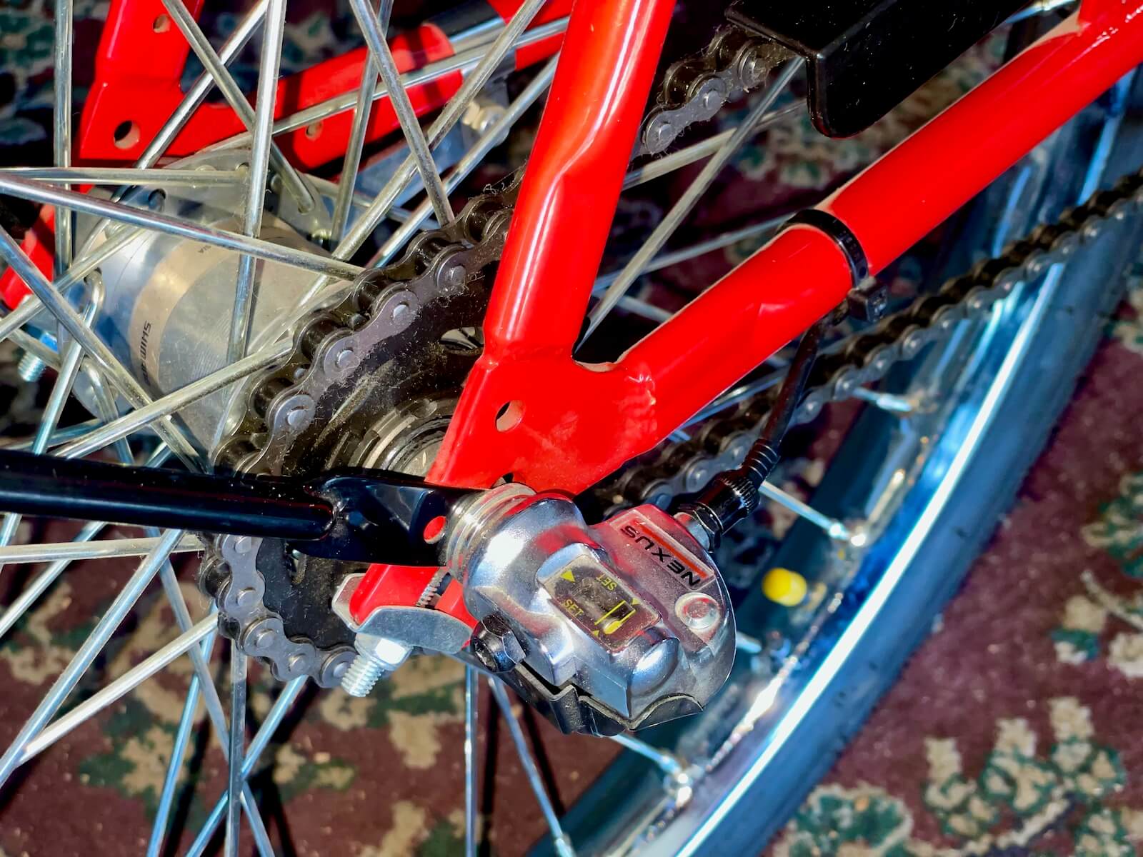 Supersized Tall Boy Bicycle for Sale ZIZE Bikes