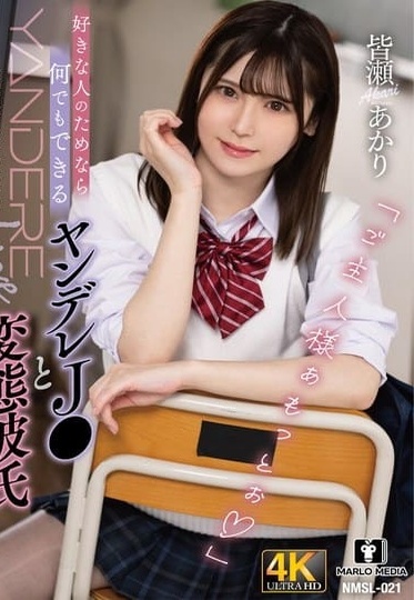 NMSL-021