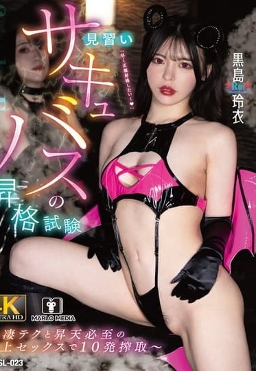 NMSL-023