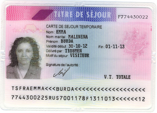 Получение, продление вида на жительство (ВНЖ) во Франции. Carte, Titre