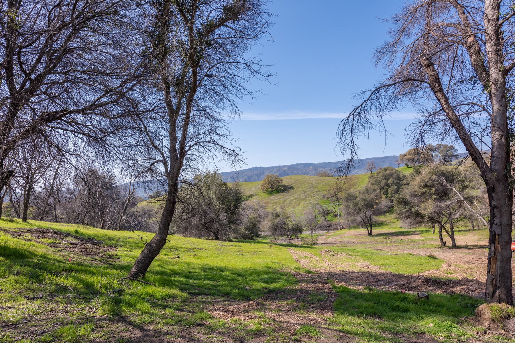 Billionaires Envision a New Utopian City—to Replace What They Ruined