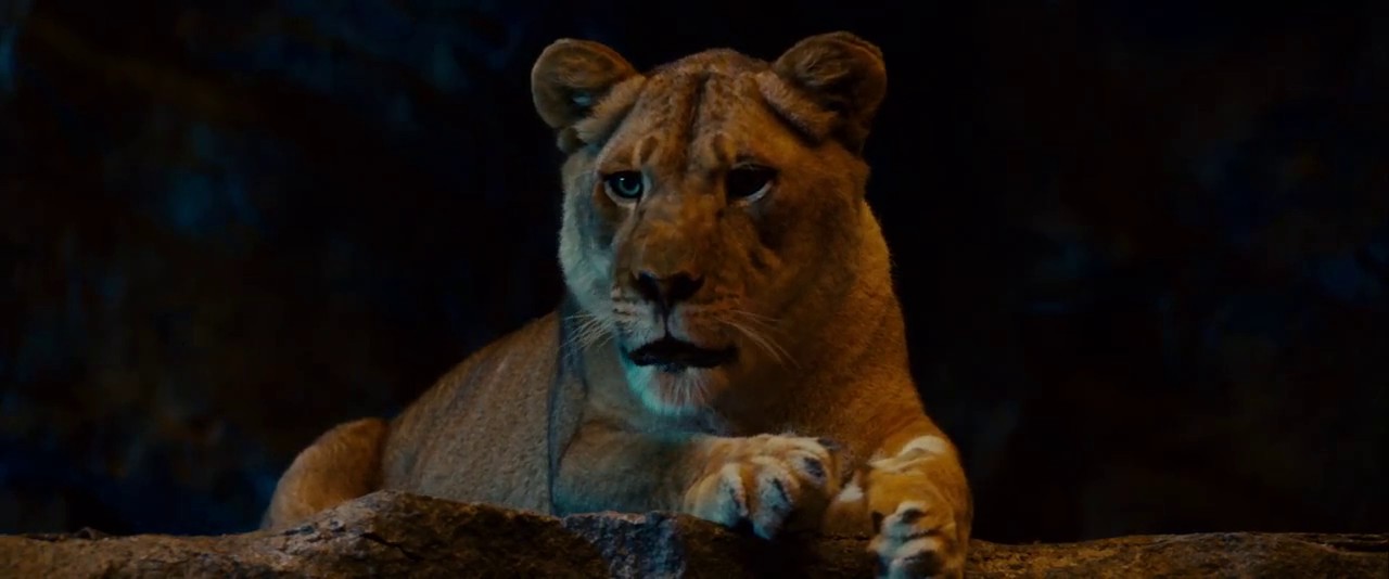 How to use zookeeper commands » Coding Life