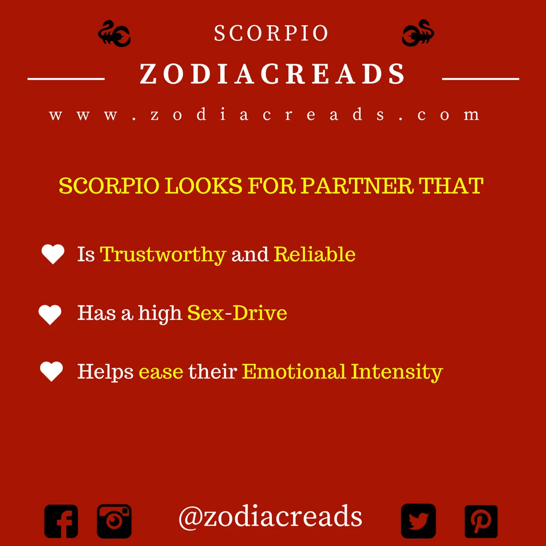 Things that Zodiac Signs Look for in Their Partner Zodiac Reads