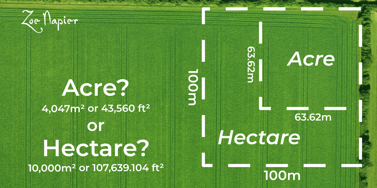 Acres vs. Hectares Making Sense of Land Sizes for Small Farms and