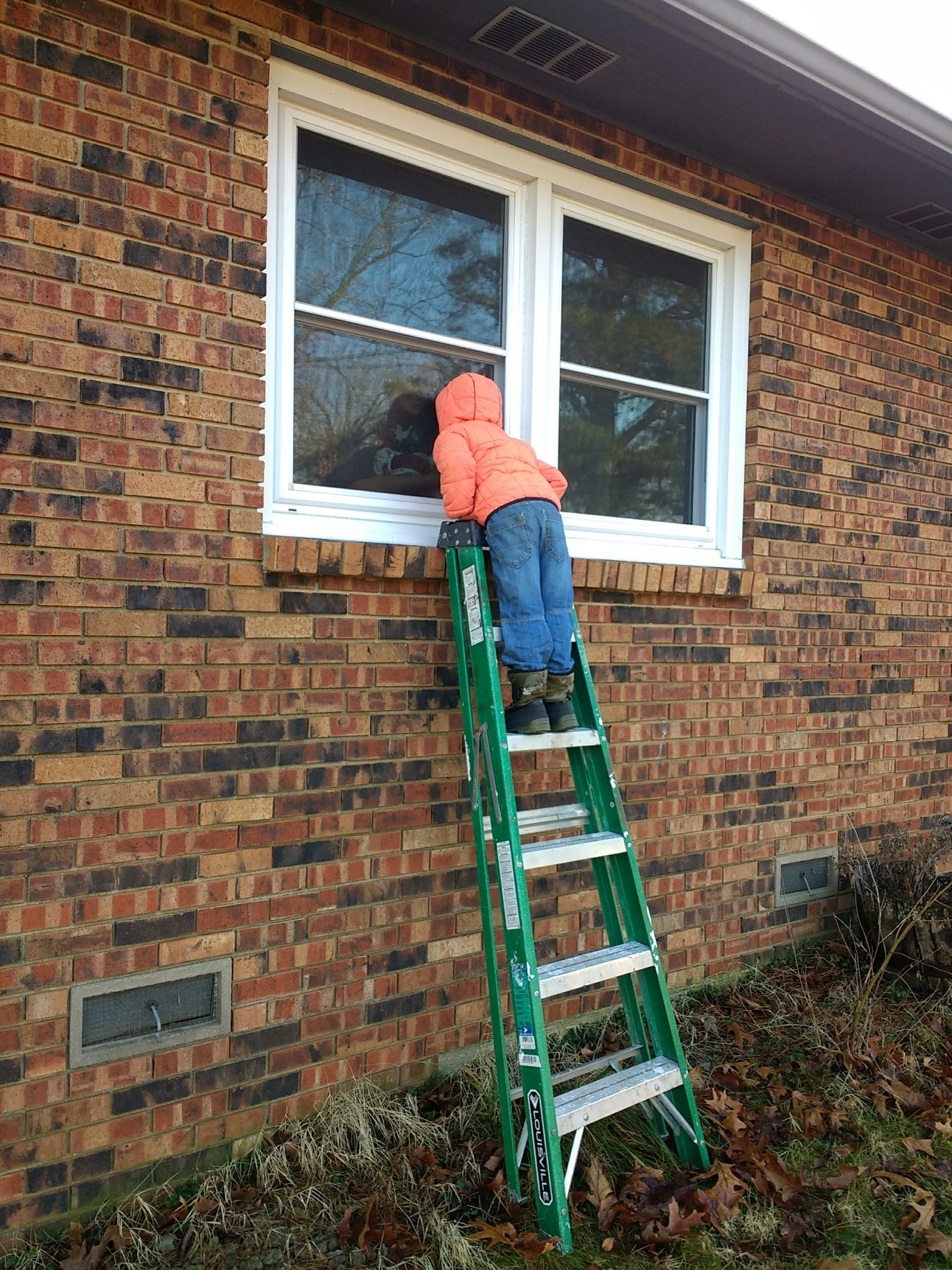 Unexpected Delivery Zoe's House Adoption Agency