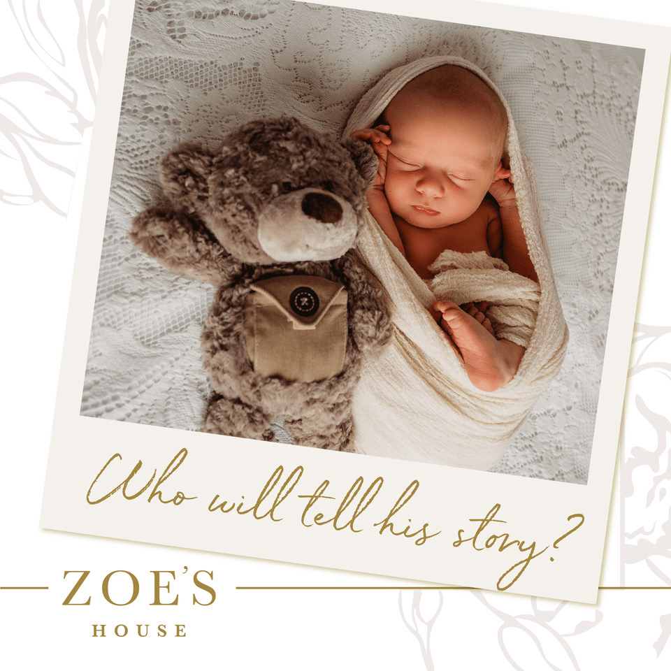 Summer 2022 Campaign Matching Grant Zoe's House Adoption Agency