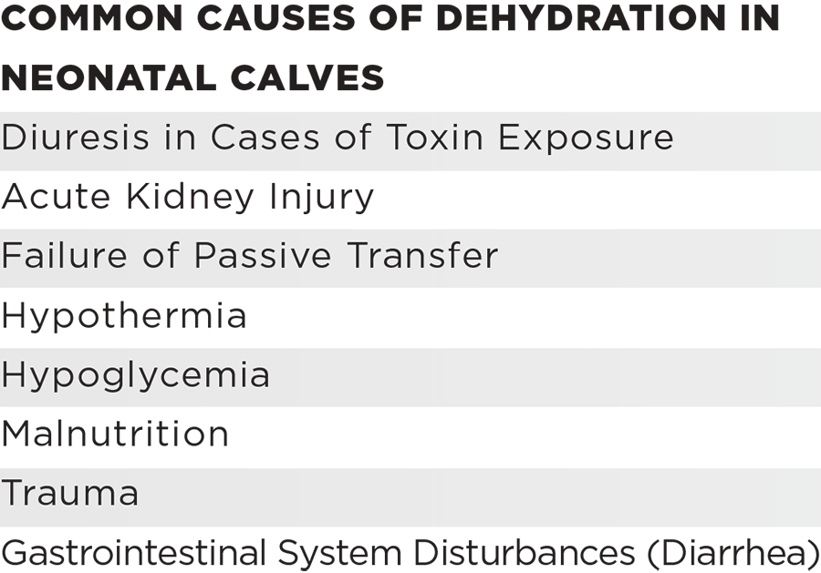 ELECTROLYTE, VITAMINS, AMINO ACIDS Solution Zoeuticals
