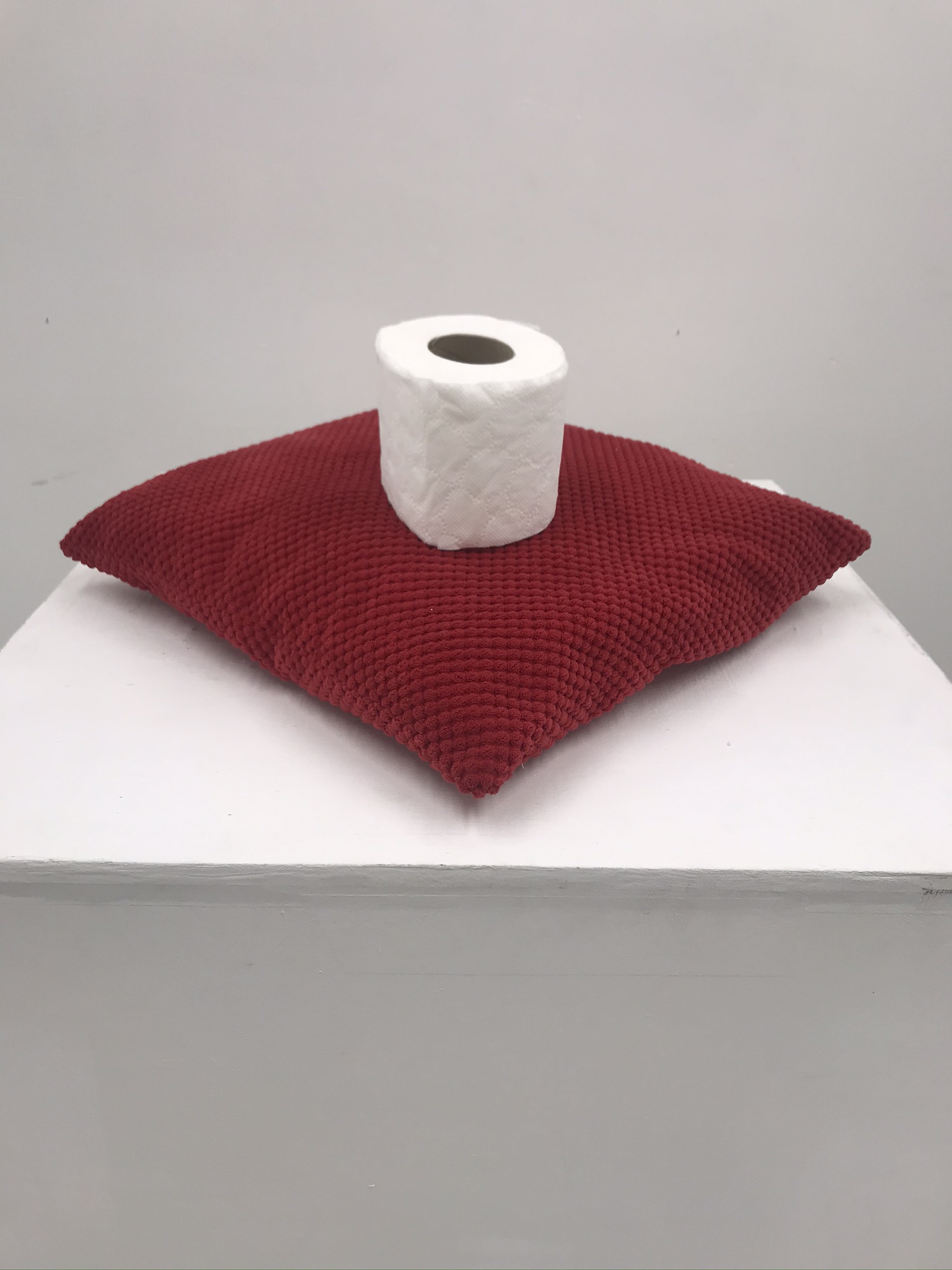 “Just in case” Toilet Paper Artwork Zofia Nowakowska