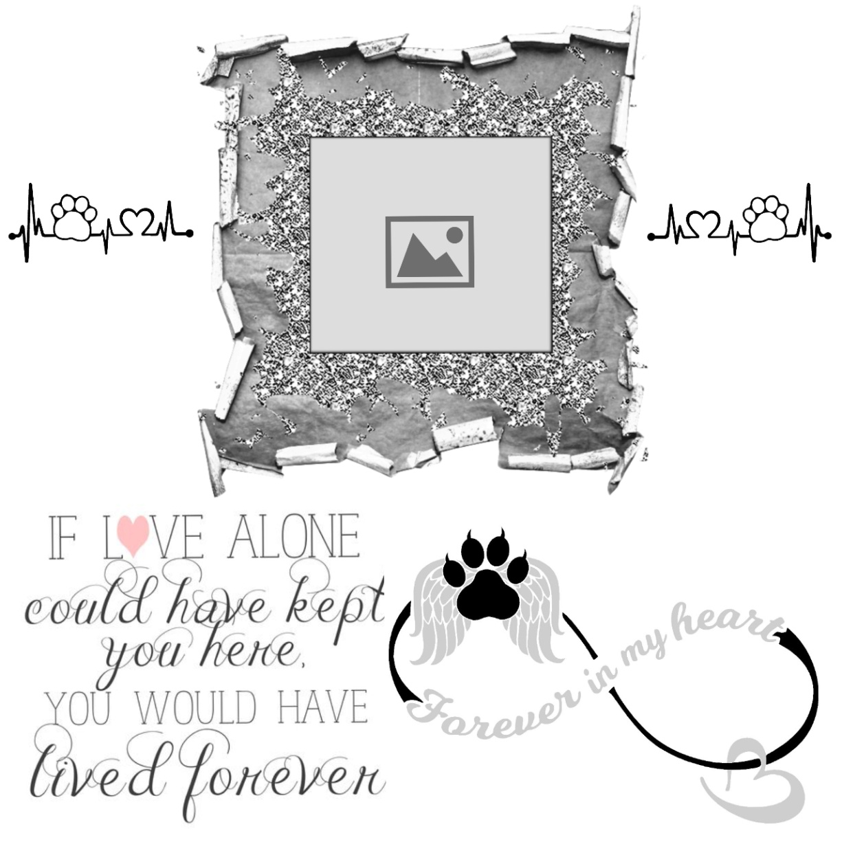 pussycatlady22's In Memory Of... Frames 2018 February In Loving