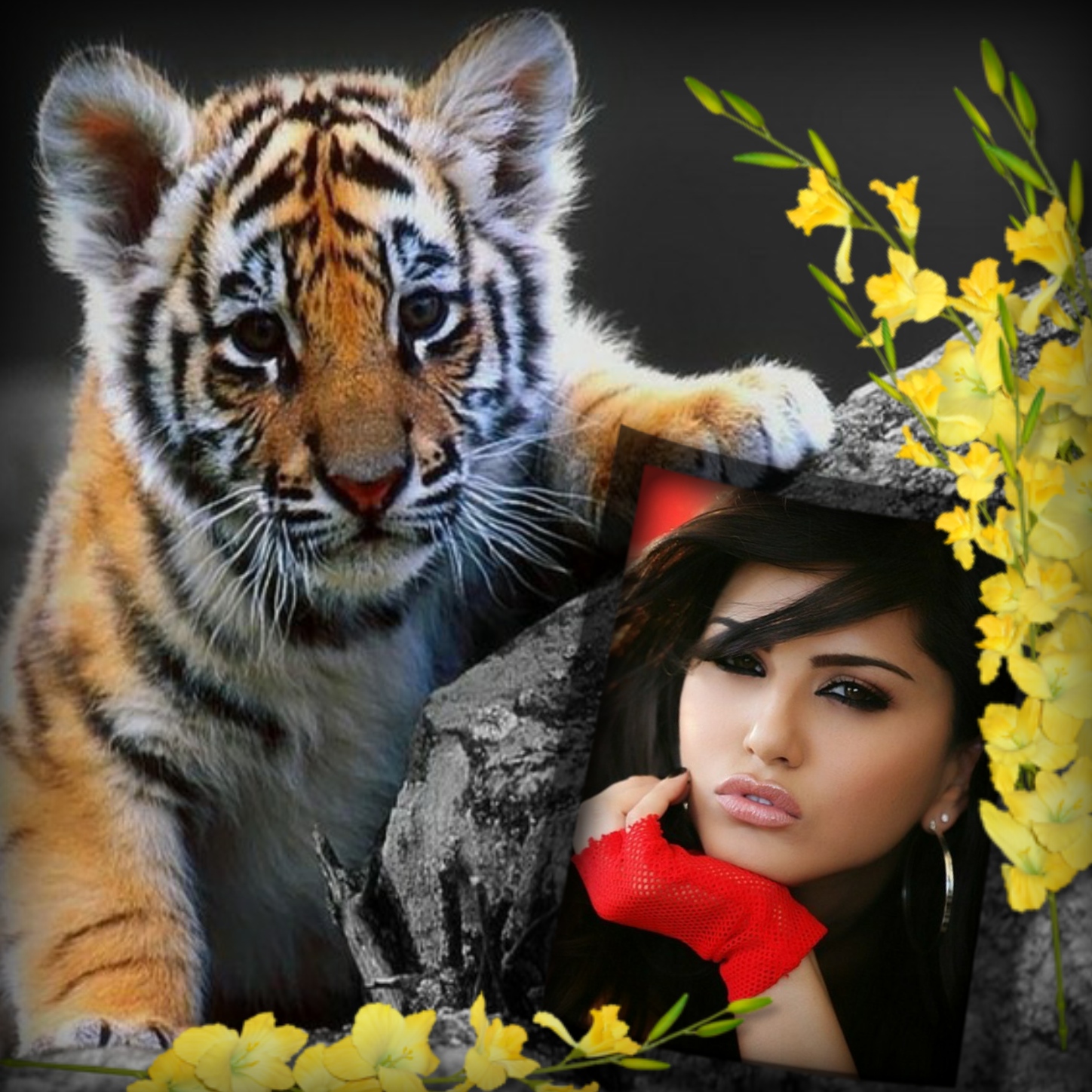 Elizabeth's ANIMALS & WILDLIFE 🙈 Tiger Tiger Cub Elizabeth Tiger