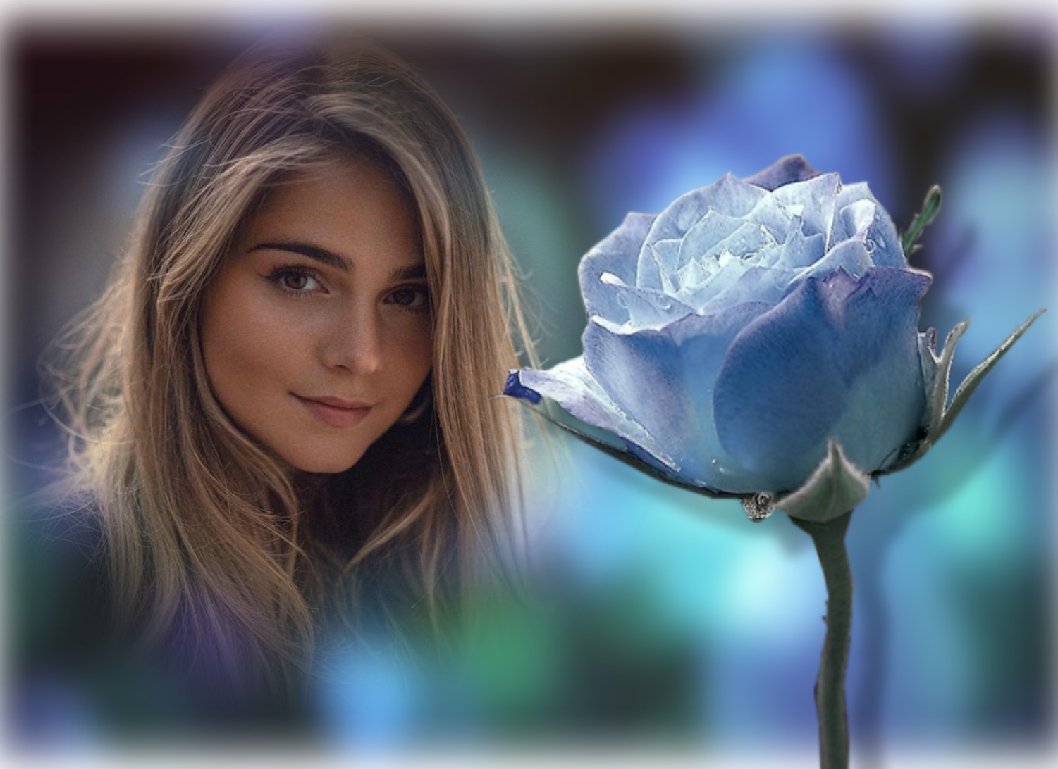 Elizabeth's THINKING OF/MISSING YOU 🥀 4/4 Thinkingofyou Blue Rose