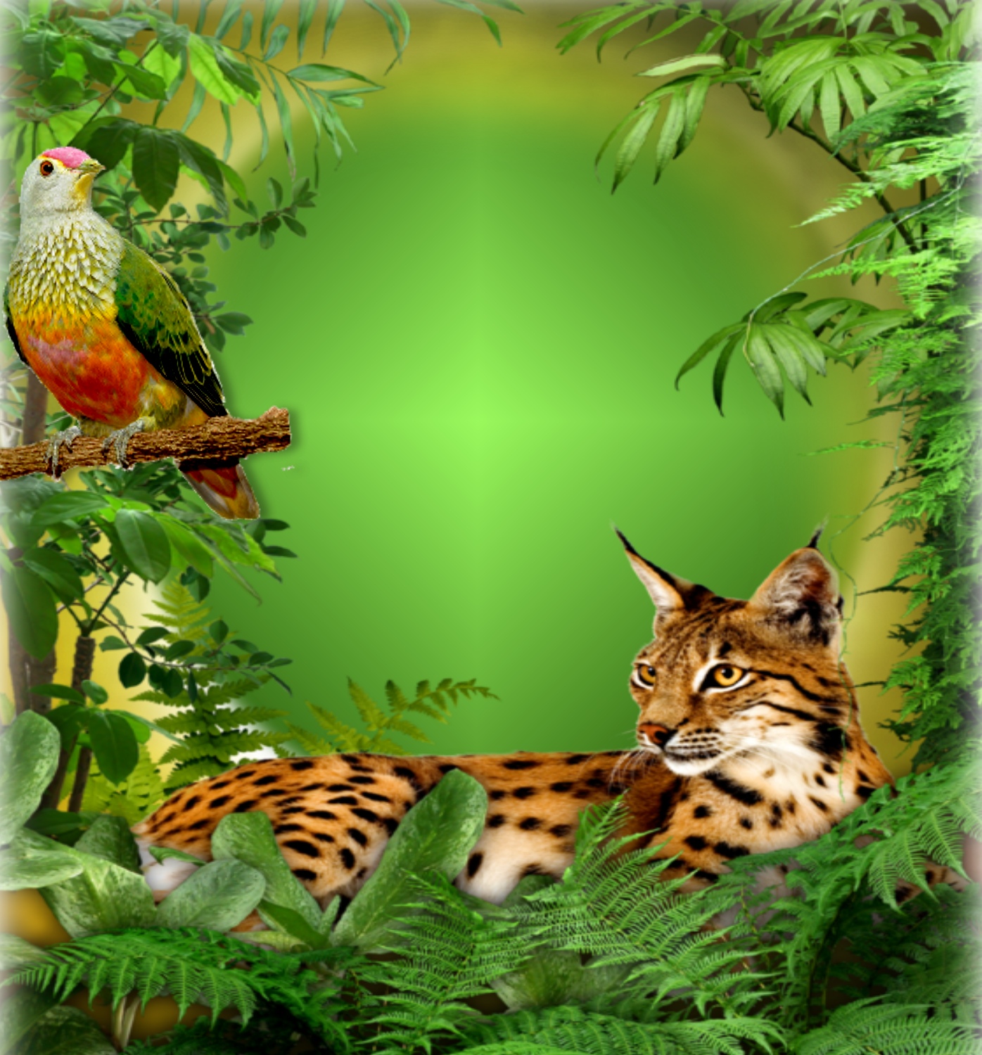 It'sMichelle's Wildlife Frames 2015 October 2016 May Nature frame