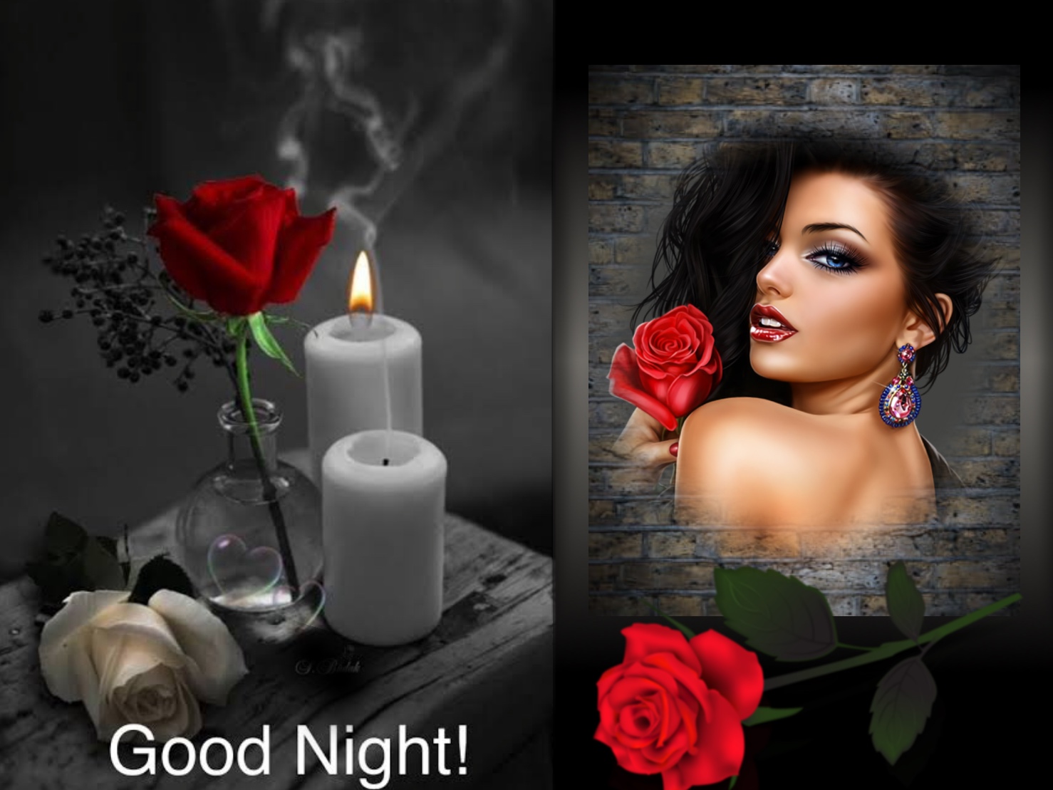 Wienie Coppen's Flowers,Goodnight,Sunset candles goodnight redroses