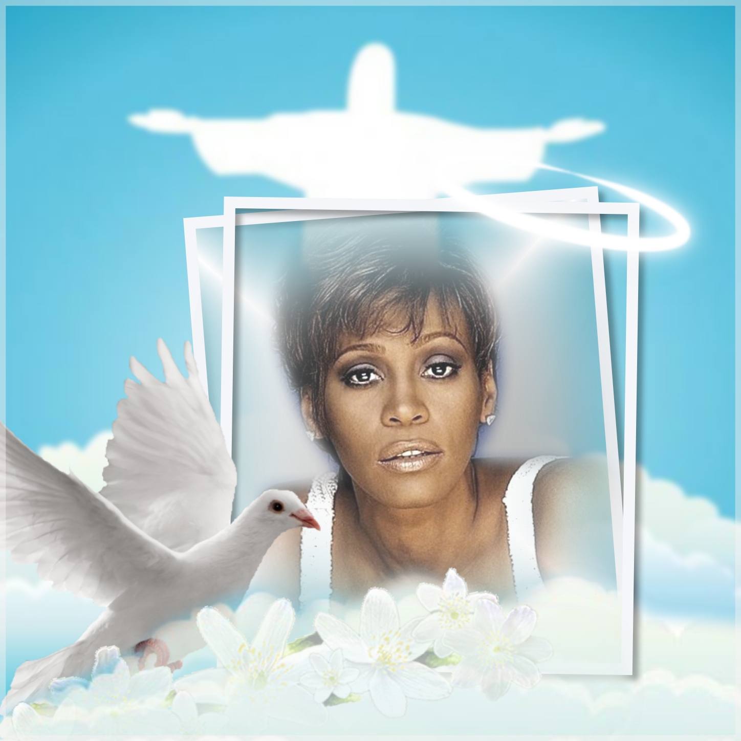 evmasy's In Memory Of... Frames 2016 in love memory dove sky heaven