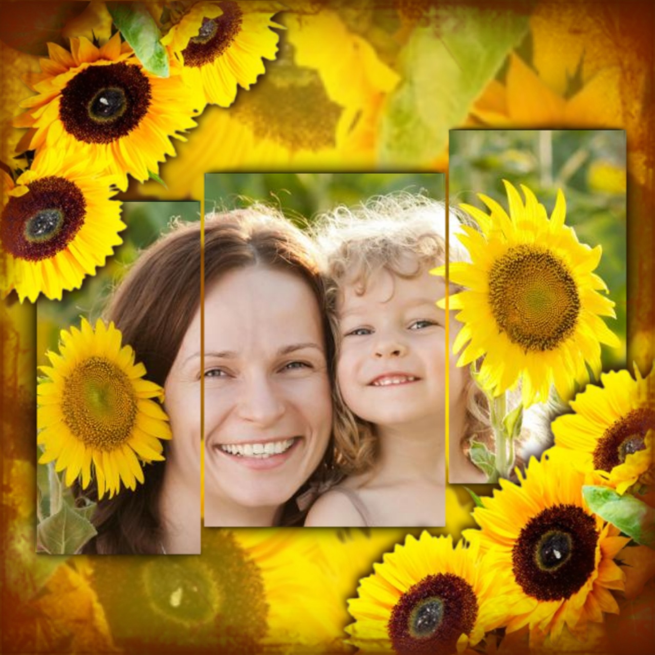 Adelaide's SUNFLOWERS GIRASSOIS GIRASOLES Adelaide Adelaide