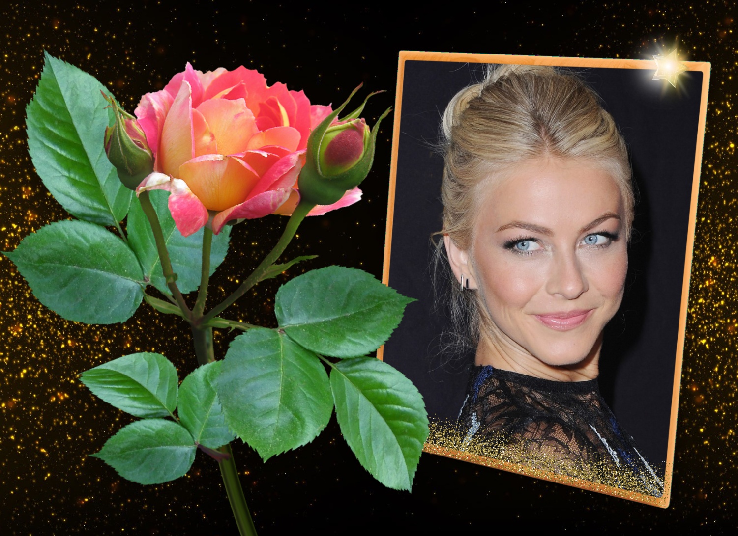 Elizabeth's GOOD MORNING/DAY/NIGHT ⭐️ 2/3 Good Evening Peach Rose