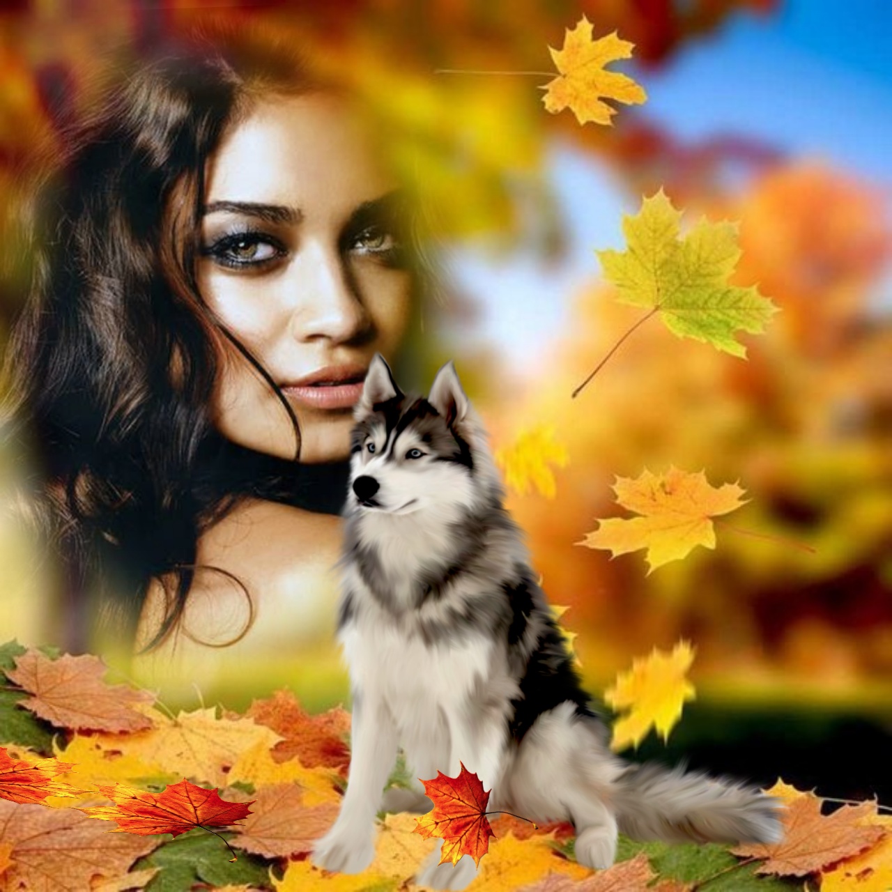 It'sMichelle's FALL SCENERY LEAVES AUTUMN FALL AUTUMN SCENERY FALL