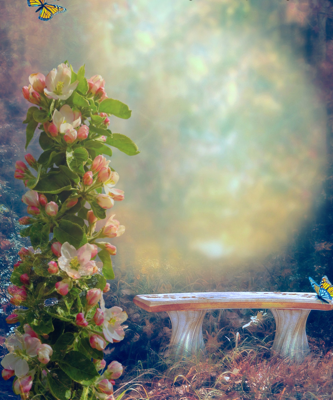 Emily50's Nature nature Photo Frame LoveromanticGood NightGood