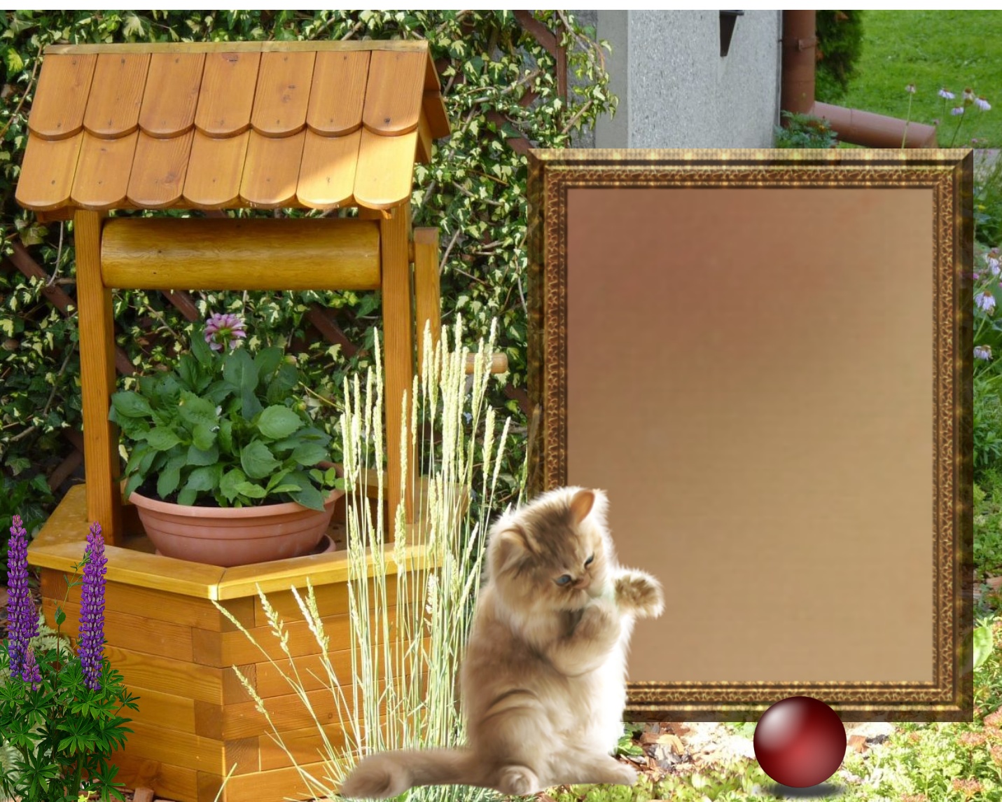 Emily50's Nature nature What You Do Picture Frames nature What You