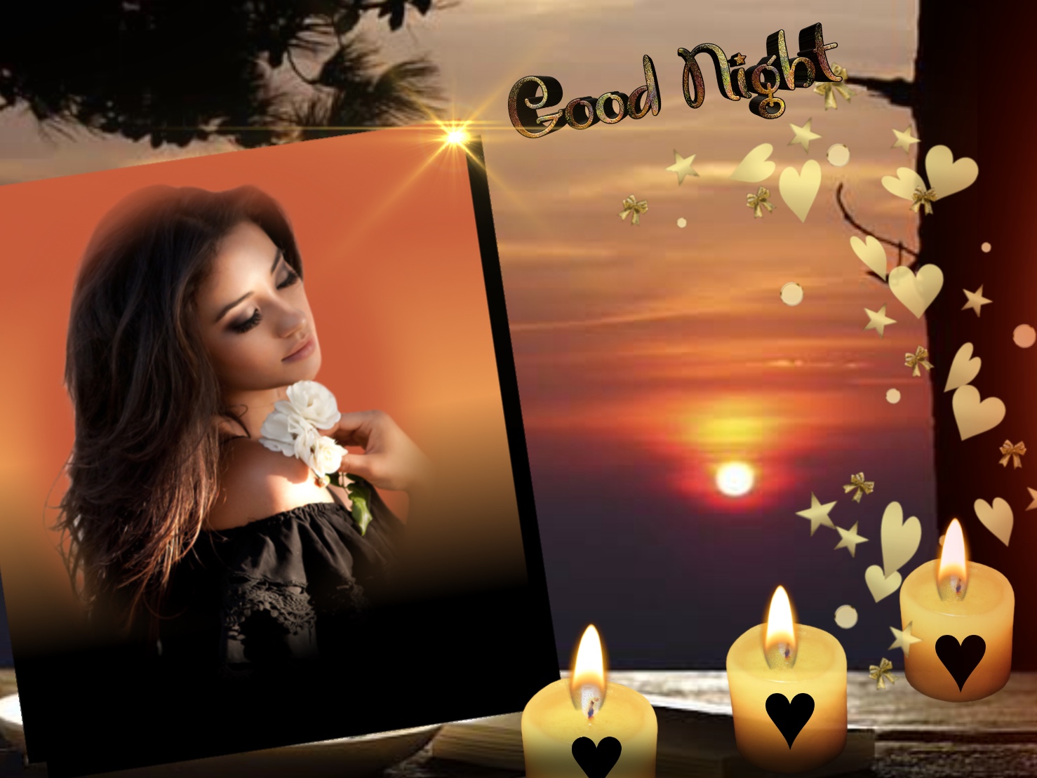 Wienie Coppen's Flowers,Goodnight,Sunset candles goodnight sunset