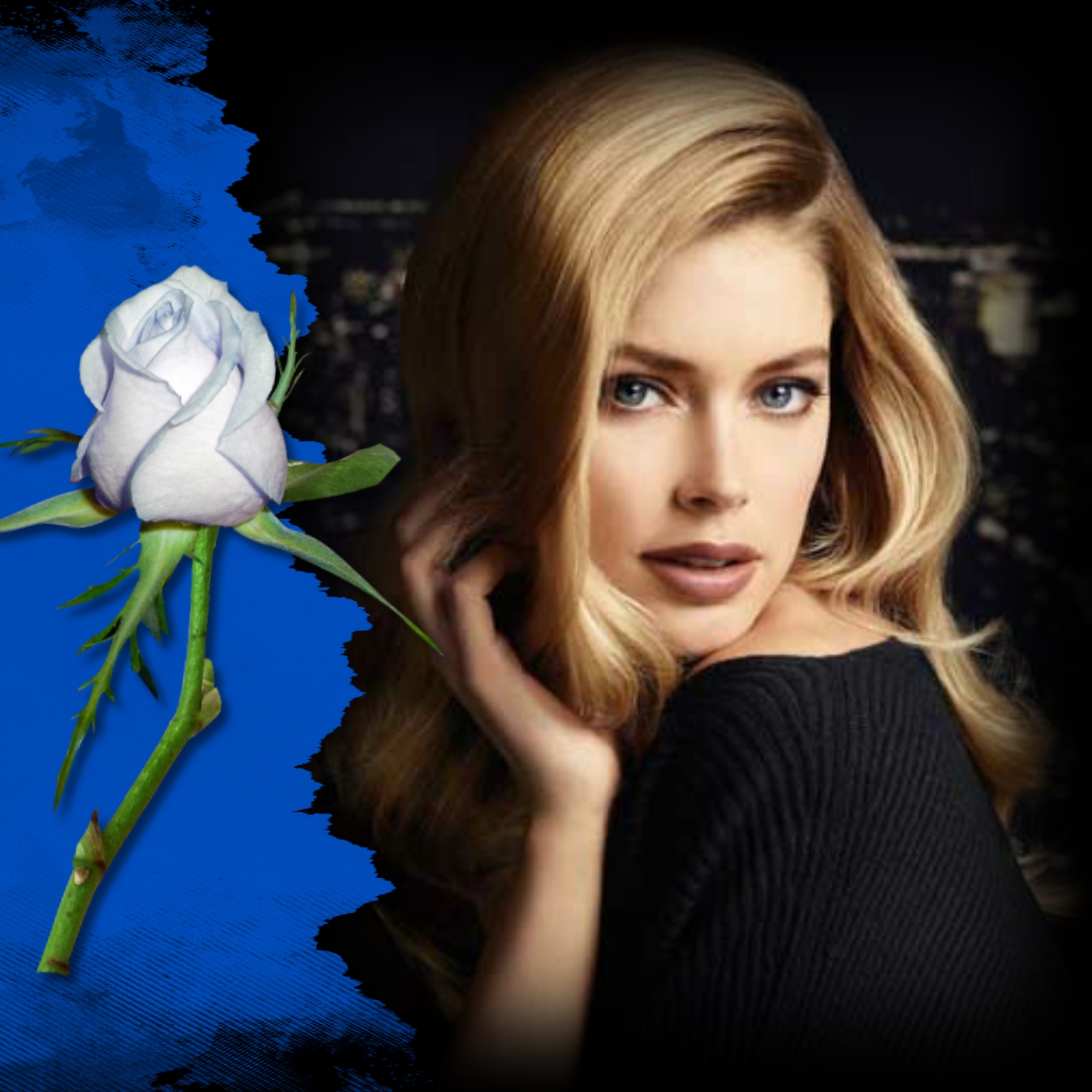 Elizabeth's ABSTRACT 🌌 2/3 Blue Rose Elizabeth Blue Rose Elizabeth