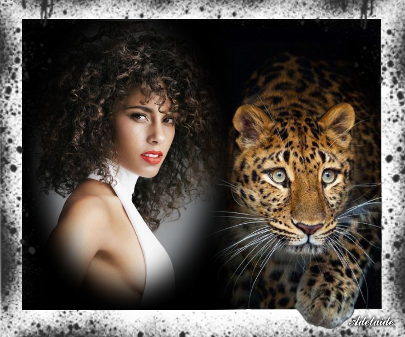 Adelaide's ANIMALS / PETS / ANIMAIS Adelaide Adelaide Pets