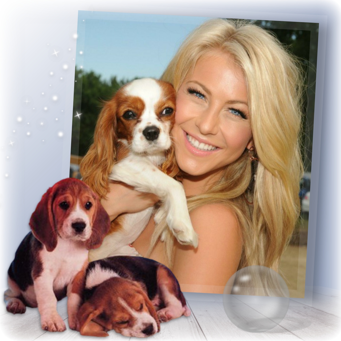 Elizabeth's CATS & DOGS 🐱 🐶 Dogs Pets Puppies Elizabeth Dogs Pets