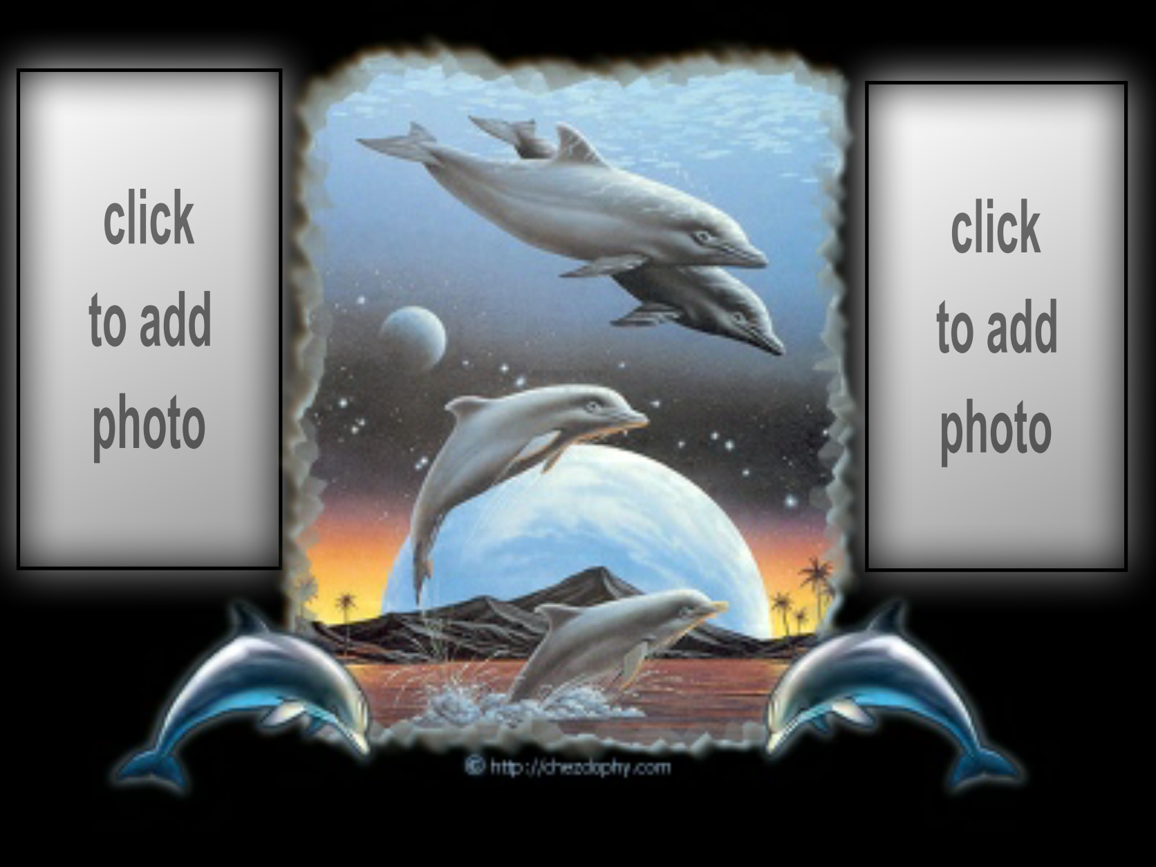 petitesquaw's Wildlife Frames 2009 January dauphin animal