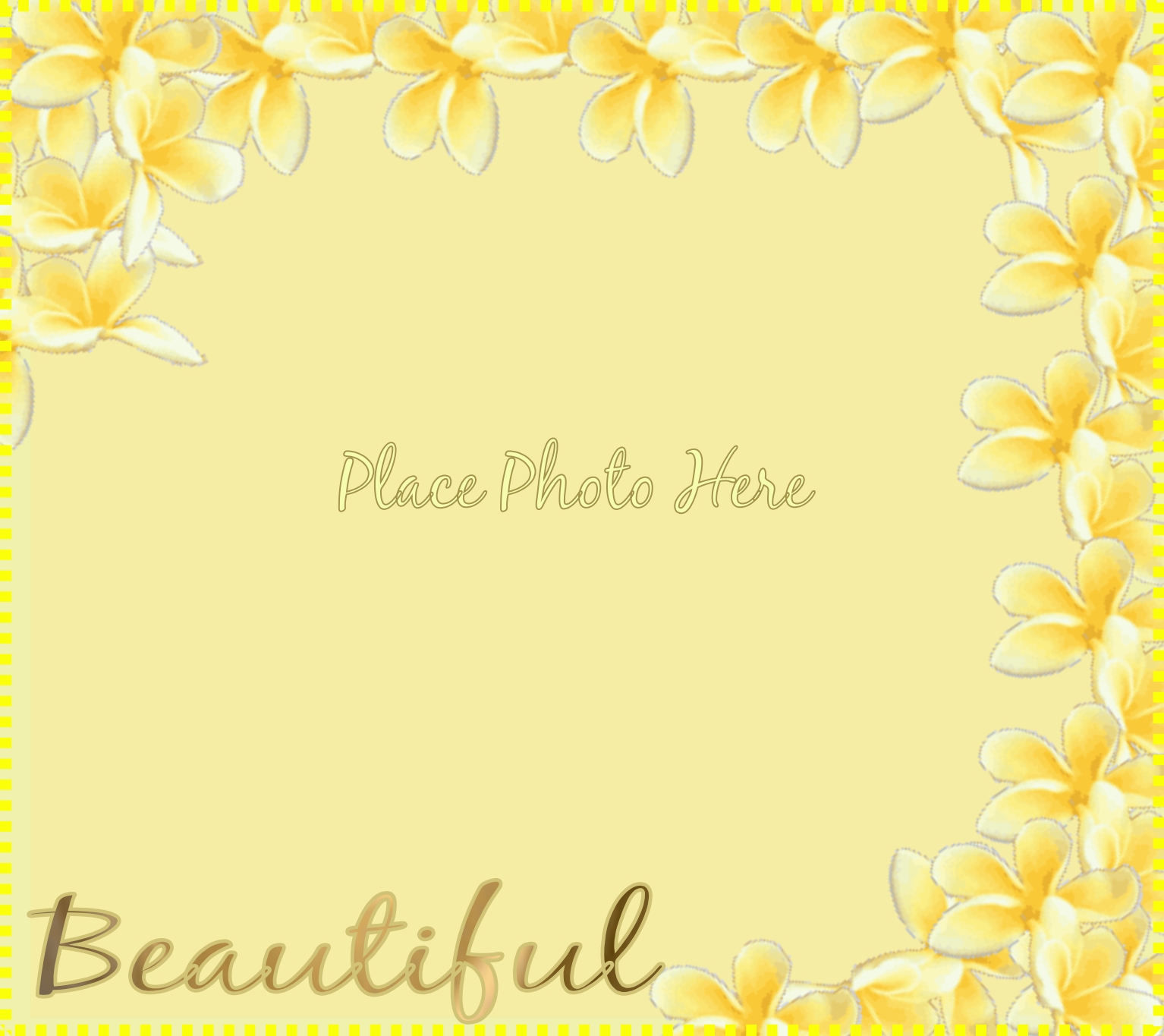 tjkstevens's Picture Frames 2008 April Very Beautiful Frame