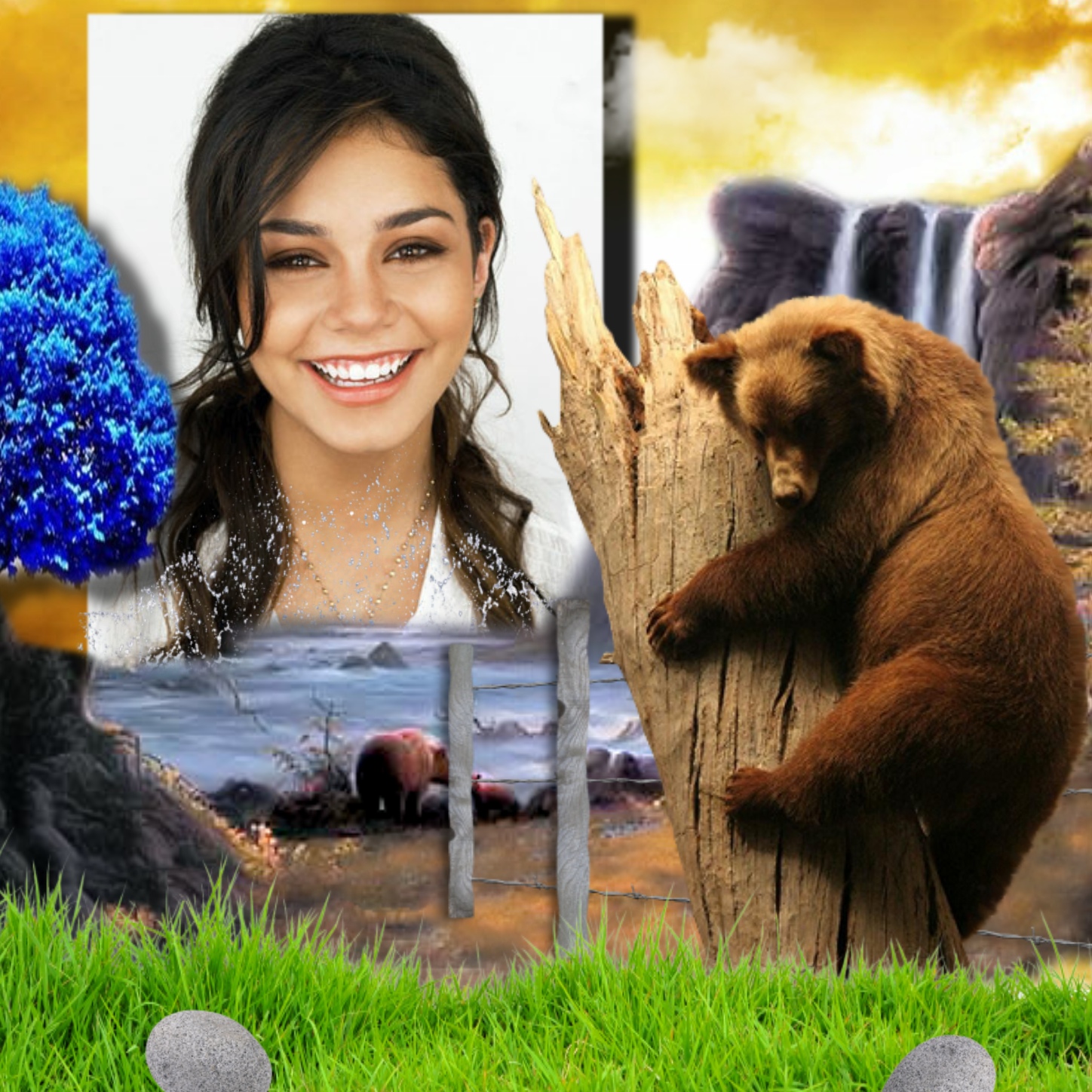 It'sMichelle's Wildlife Frames 2017 April Bear hanging out Horror02