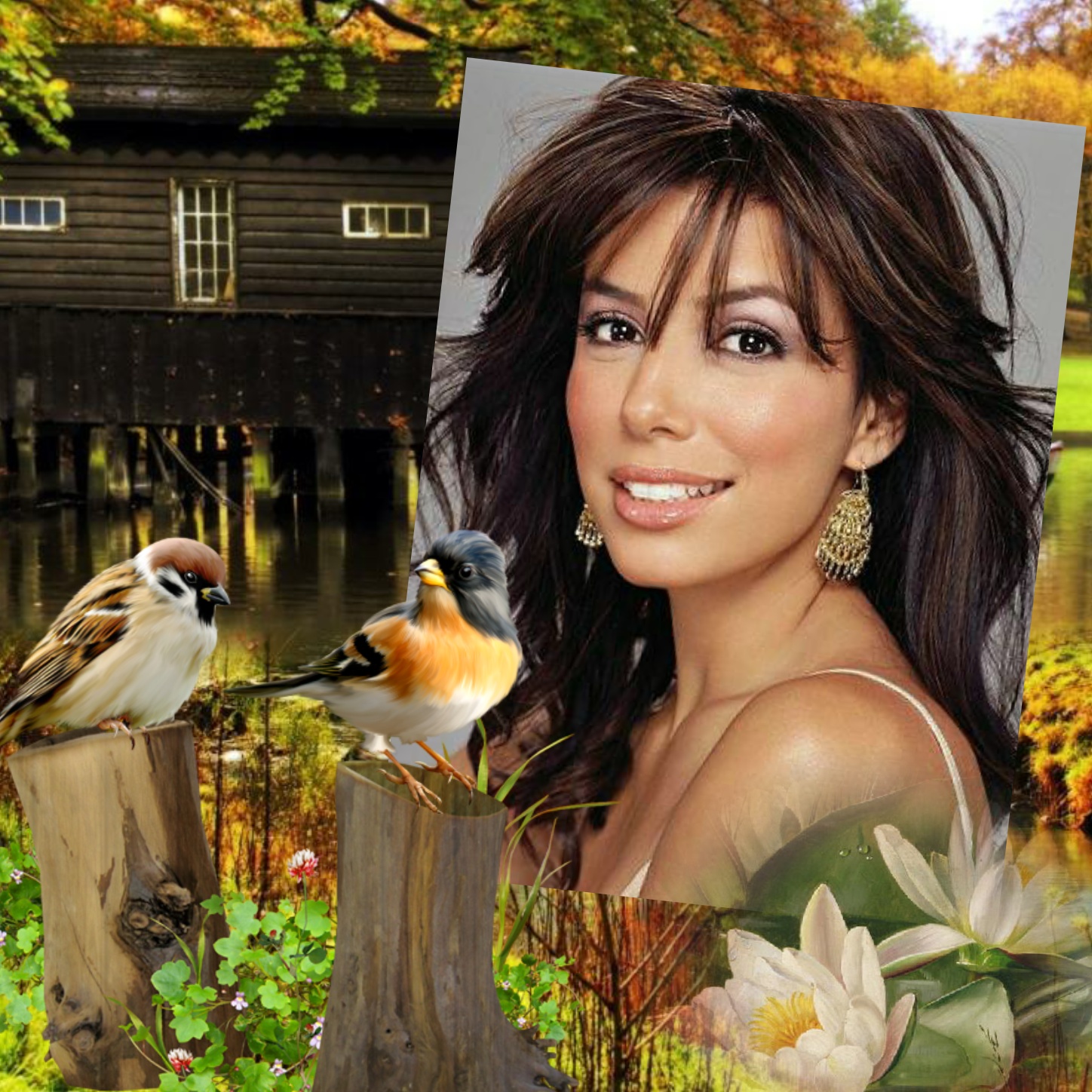 EARROYO's Sunsets, Scenery and Nature Frames 2017 July Country