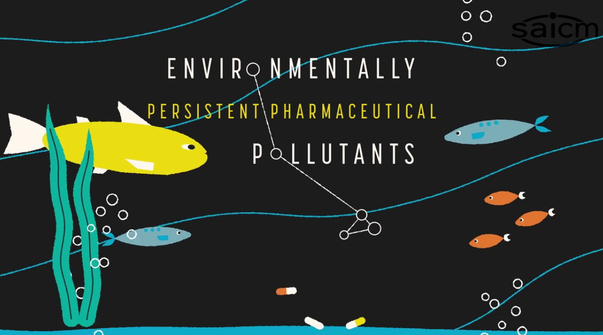 Strategic Approach to International Chemicals Management videos Zoï Environment Network