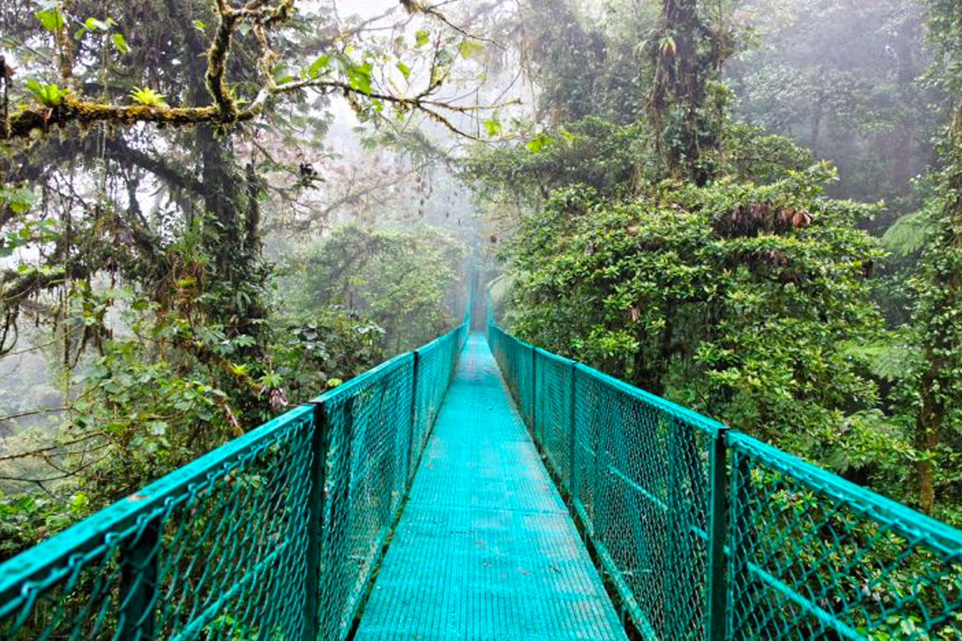 Monteverde — Costa Rica ZO Magazine