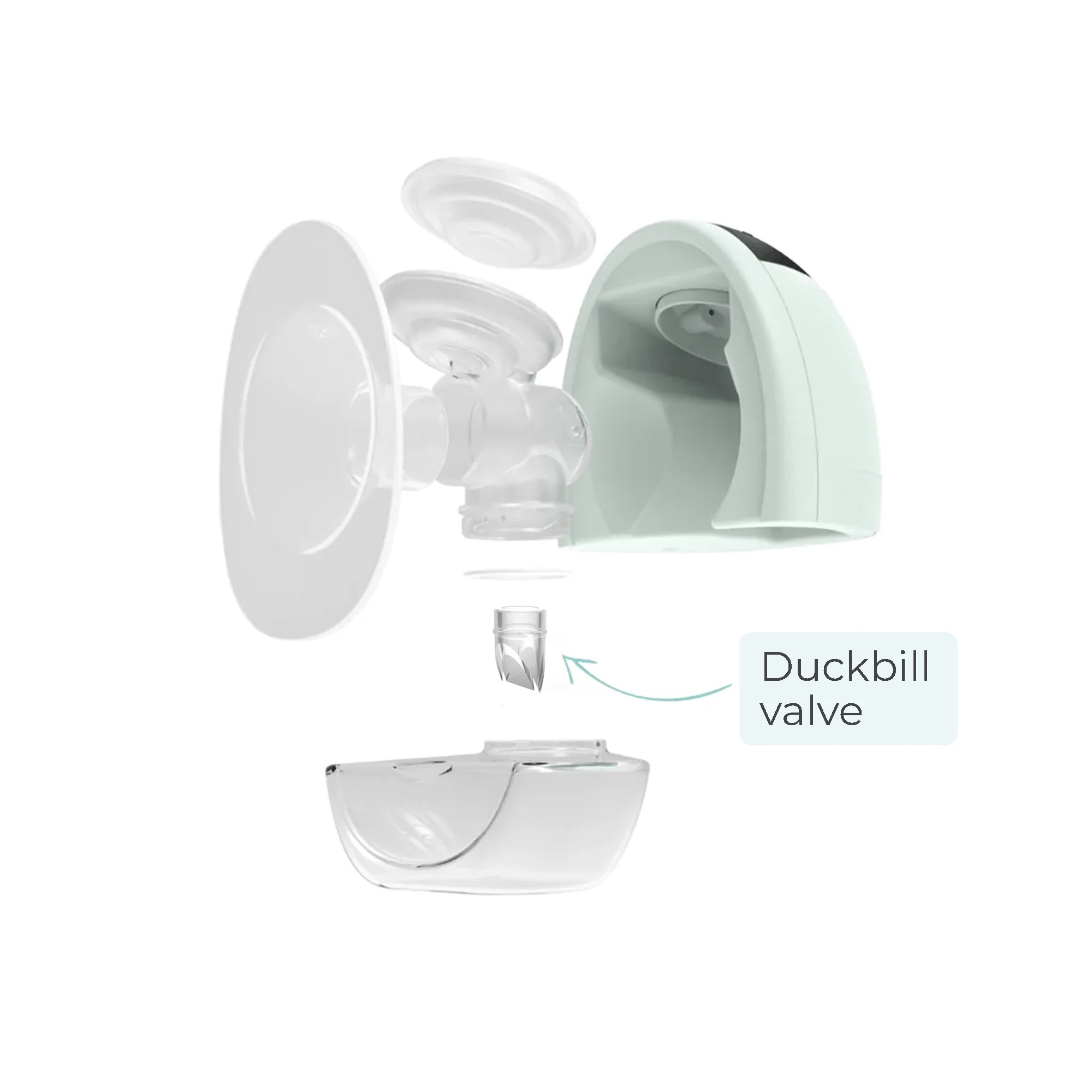Fit Duckbill Valves (Set of 2) Zomee Breast Pumps