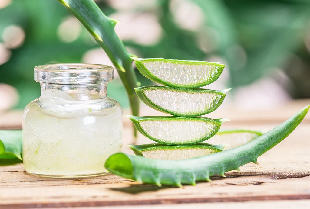 What is Aloe Vera? Benefits & Precautions of Aloe Vera