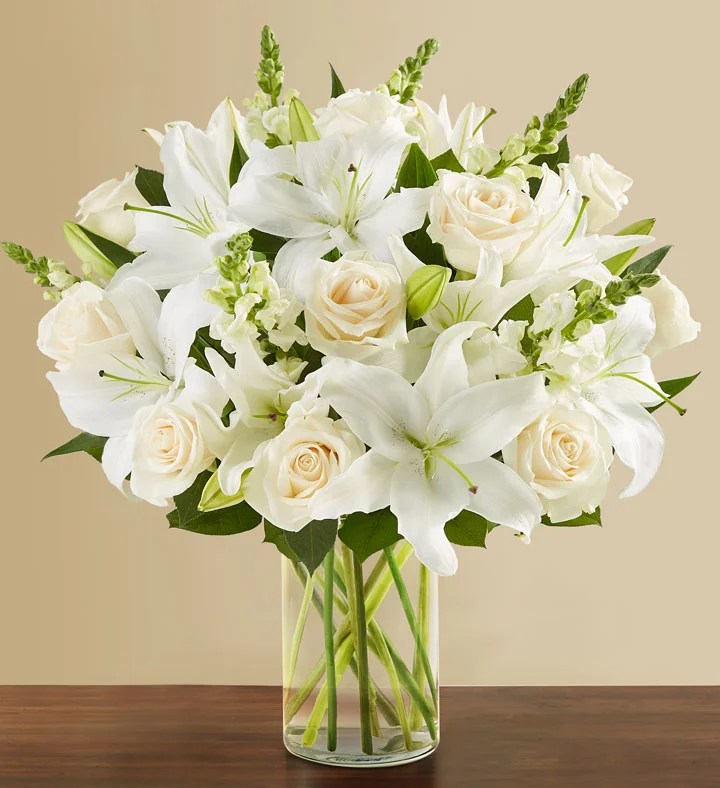 5 Best Flowers to Offer Comfort and Sympathy ZOMG! Candy