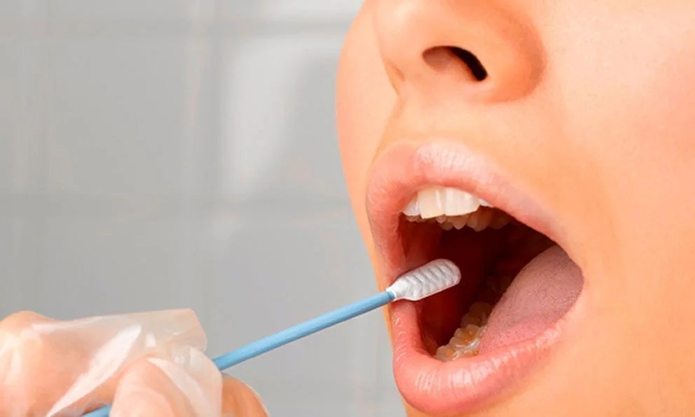 Las funciones de la saliva Zonadental