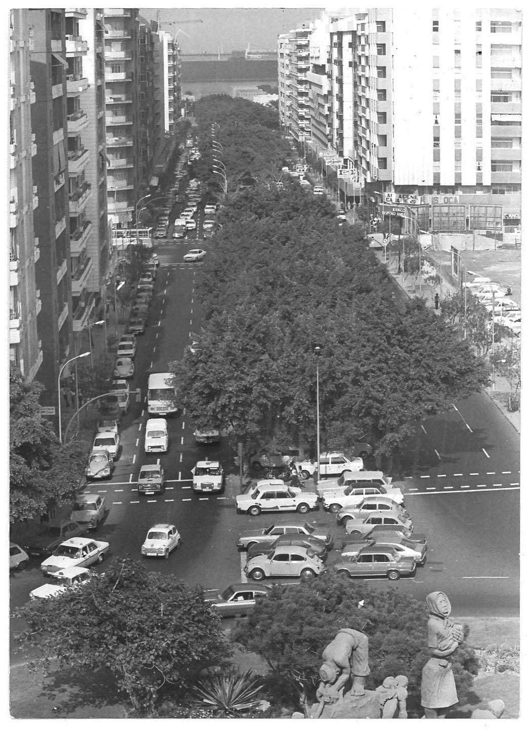 Historia de la Zona Mesa y López Zona Mesa y López