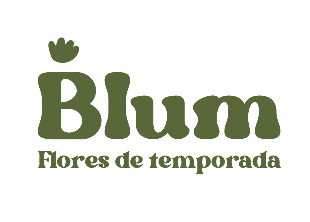 Blum Flores Zona Mesa y López