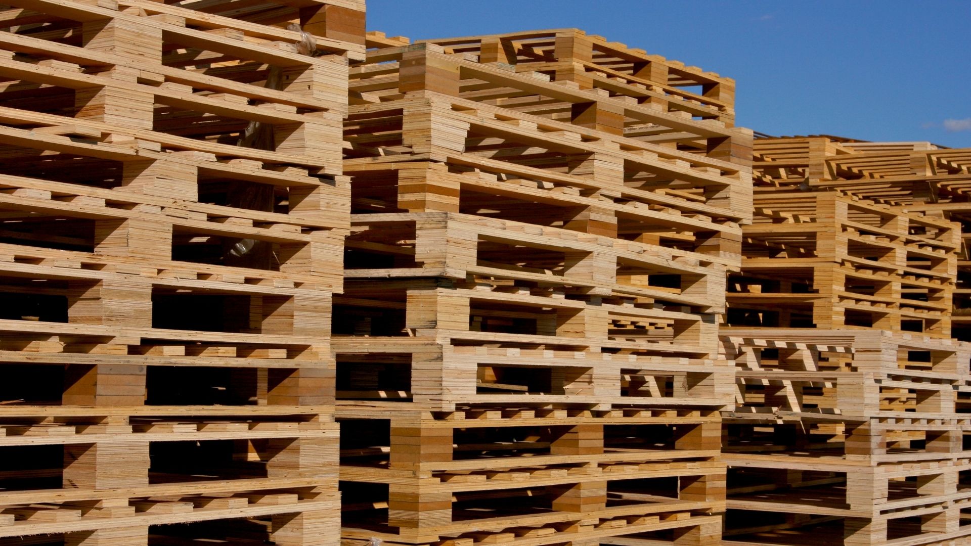 Compraventa de palets Zona Palets