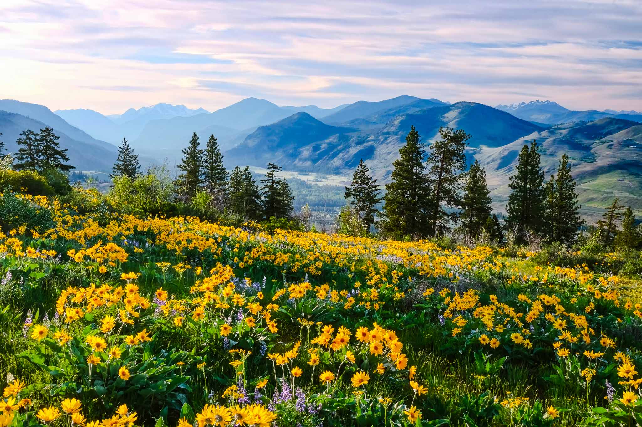 Zone Events PCA Zone 6